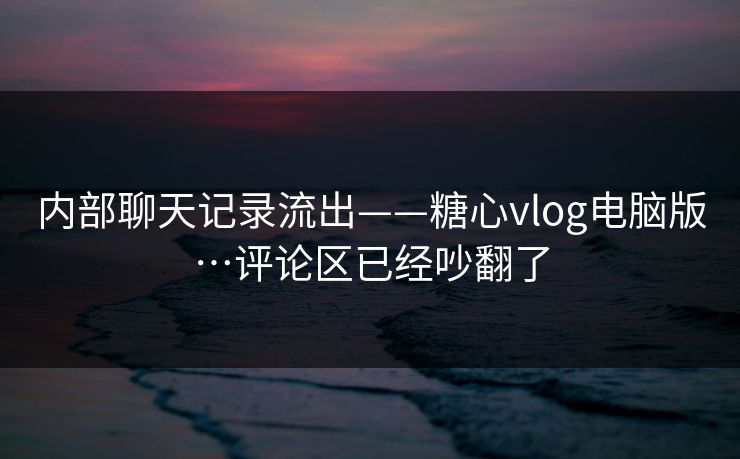 内部聊天记录流出——糖心vlog电脑版…评论区已经吵翻了